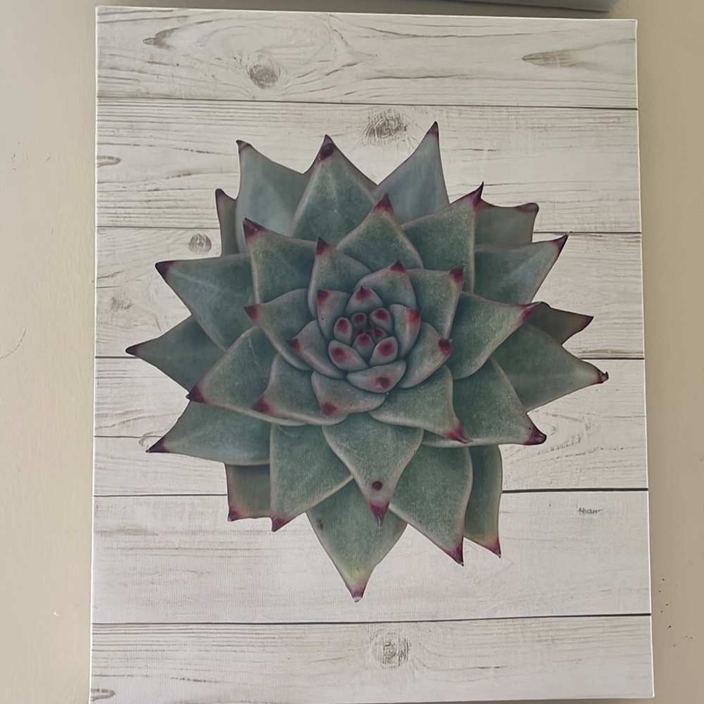 Wall Decor - Picture 3 of 4